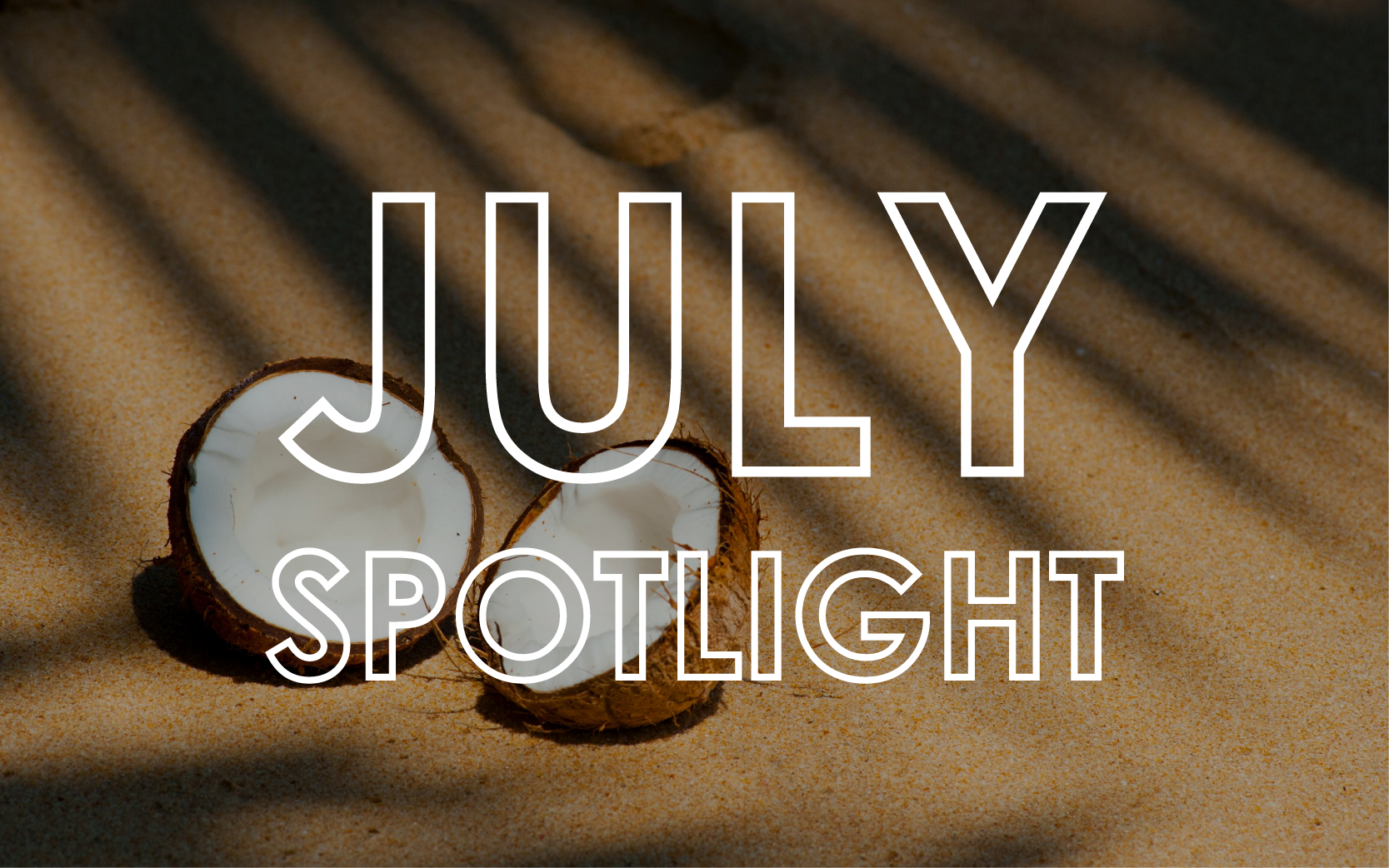 July 2024 - Monthly Product Showcase