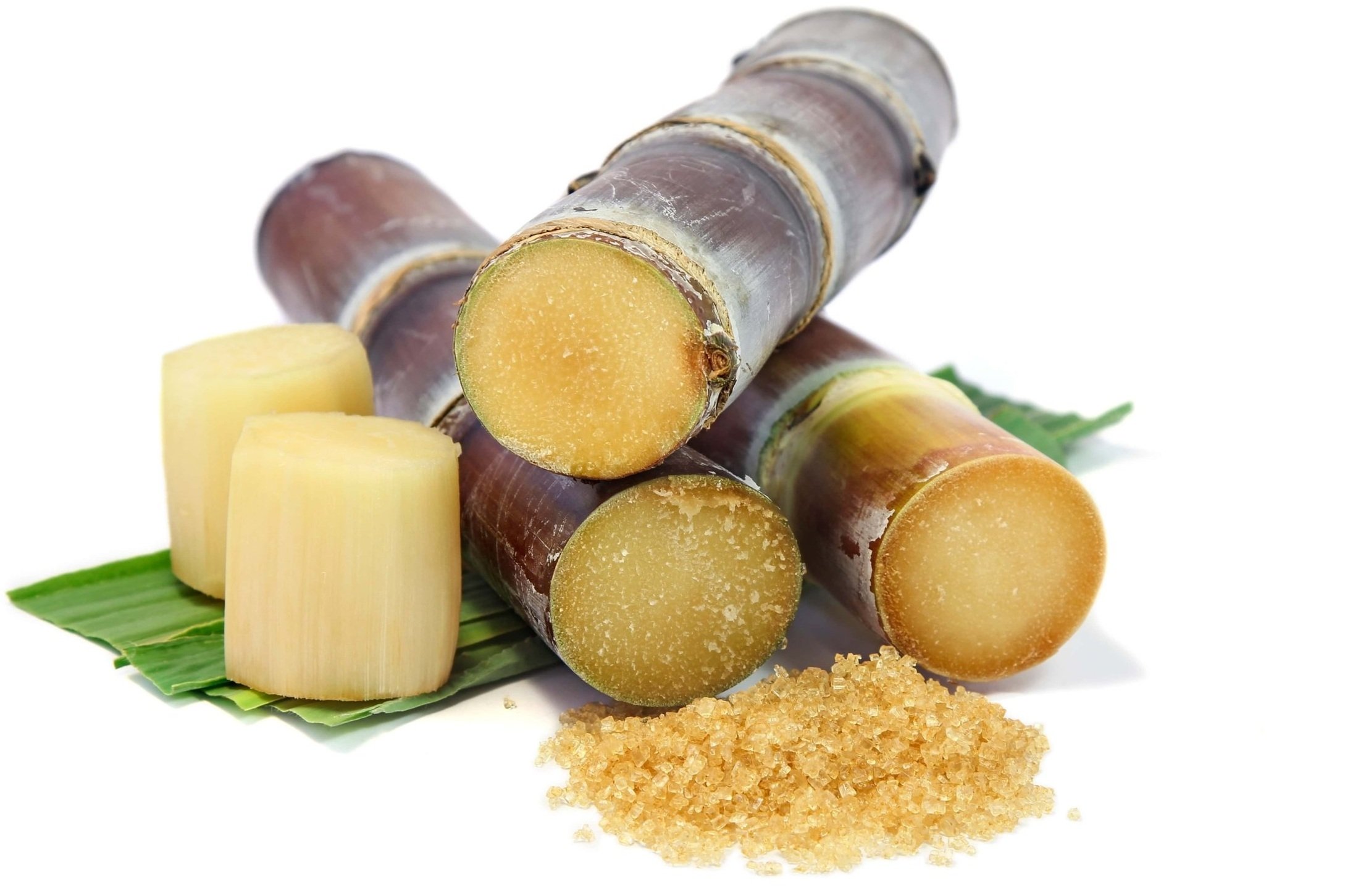 Cuttings of sugar cane stalks