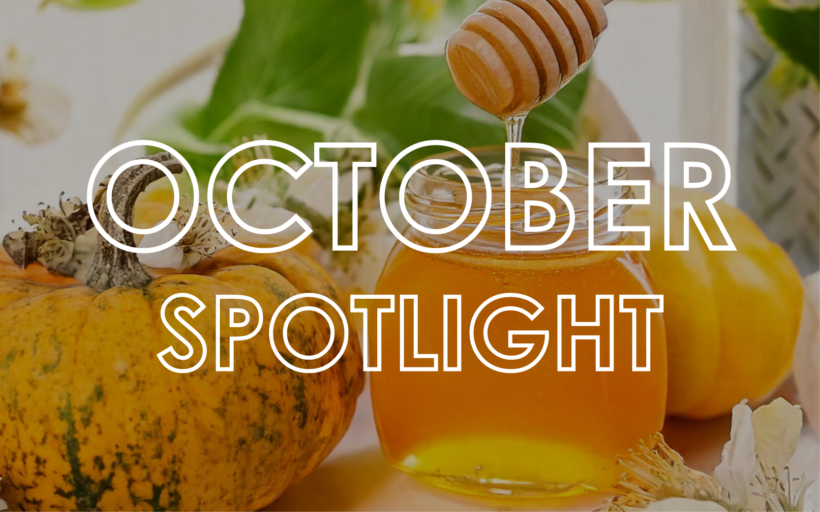 October 2024 - Monthly Product Showcase 