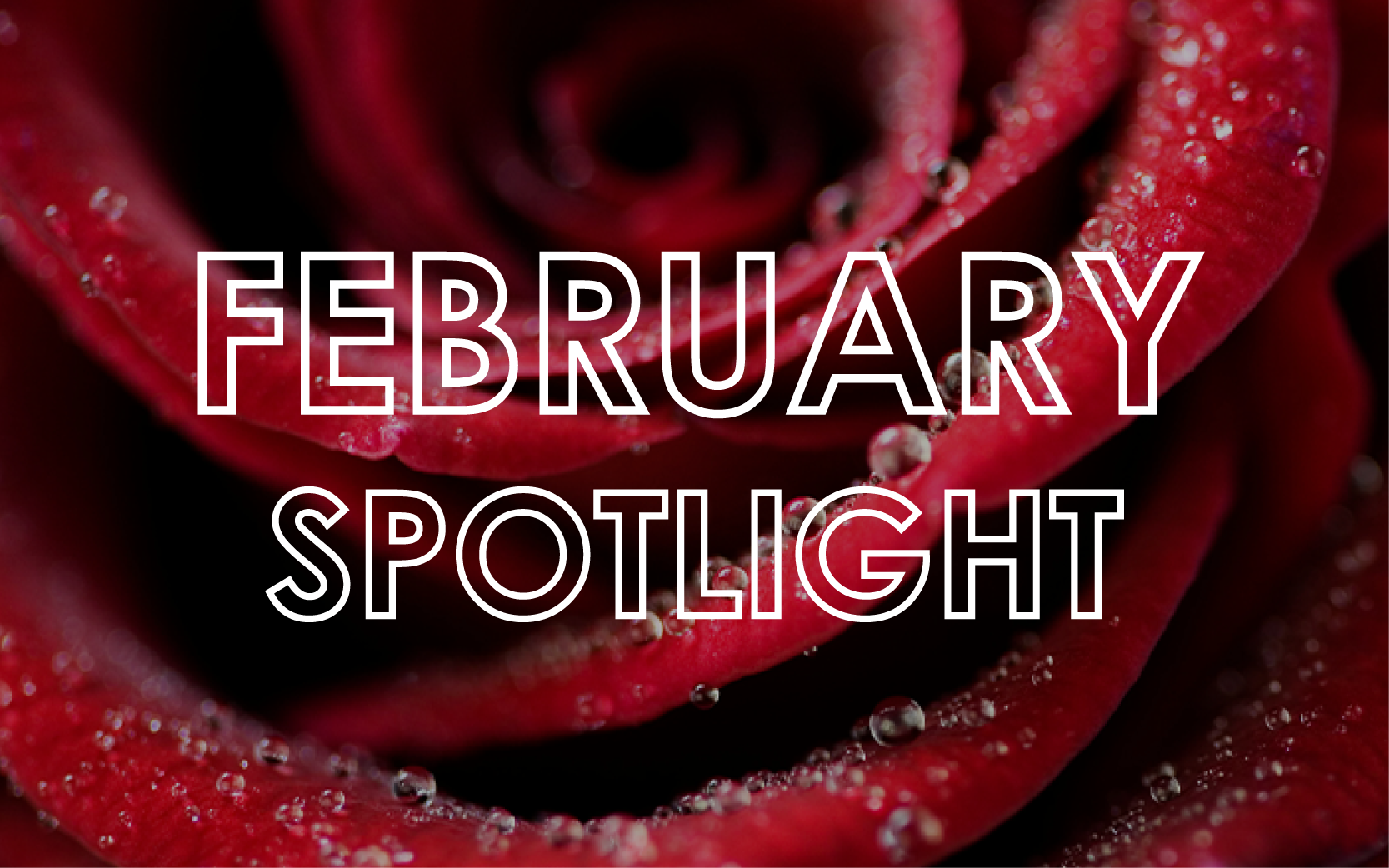 February 2025 - Monthly Product Showcase