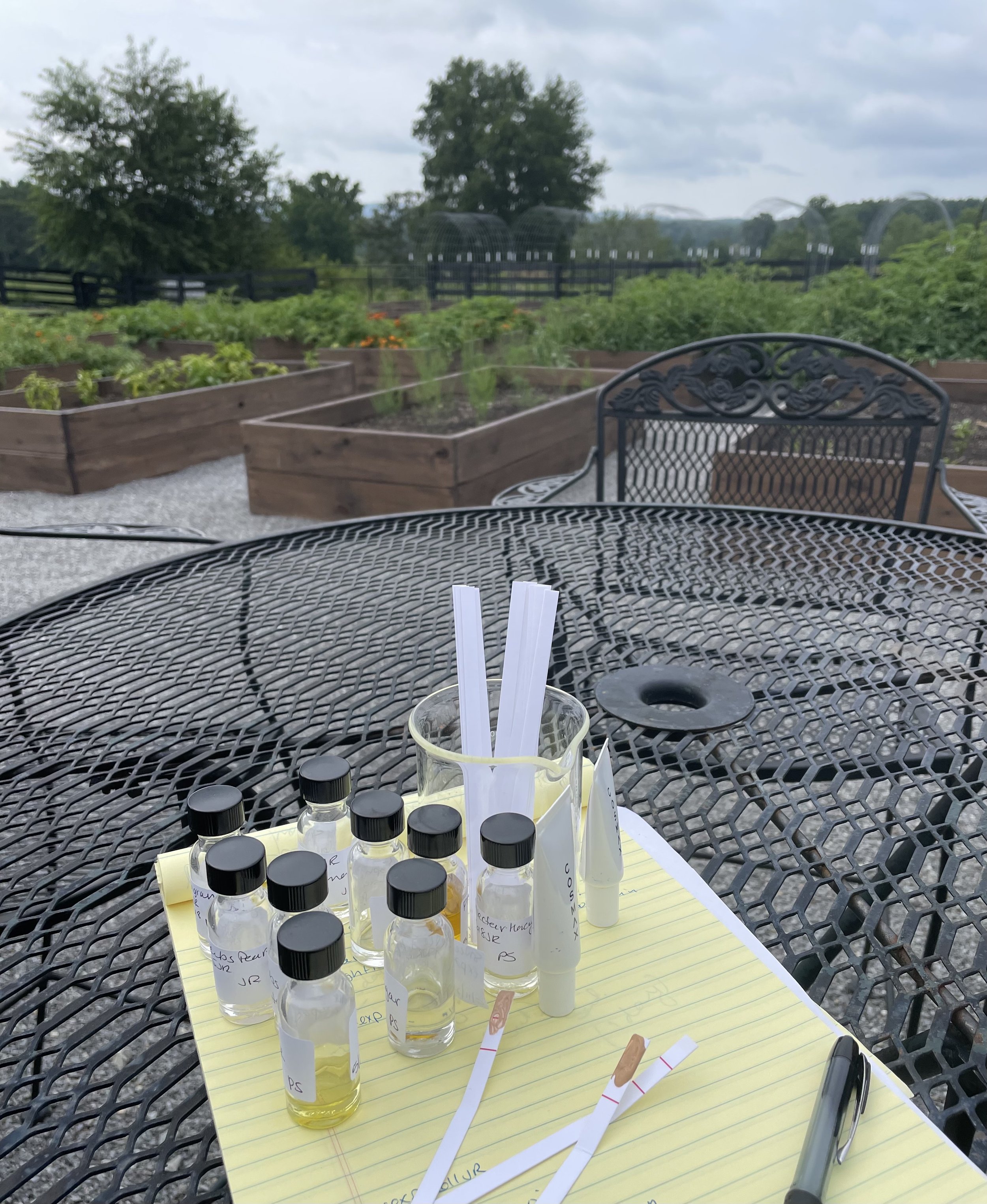 Fragrance Sampling