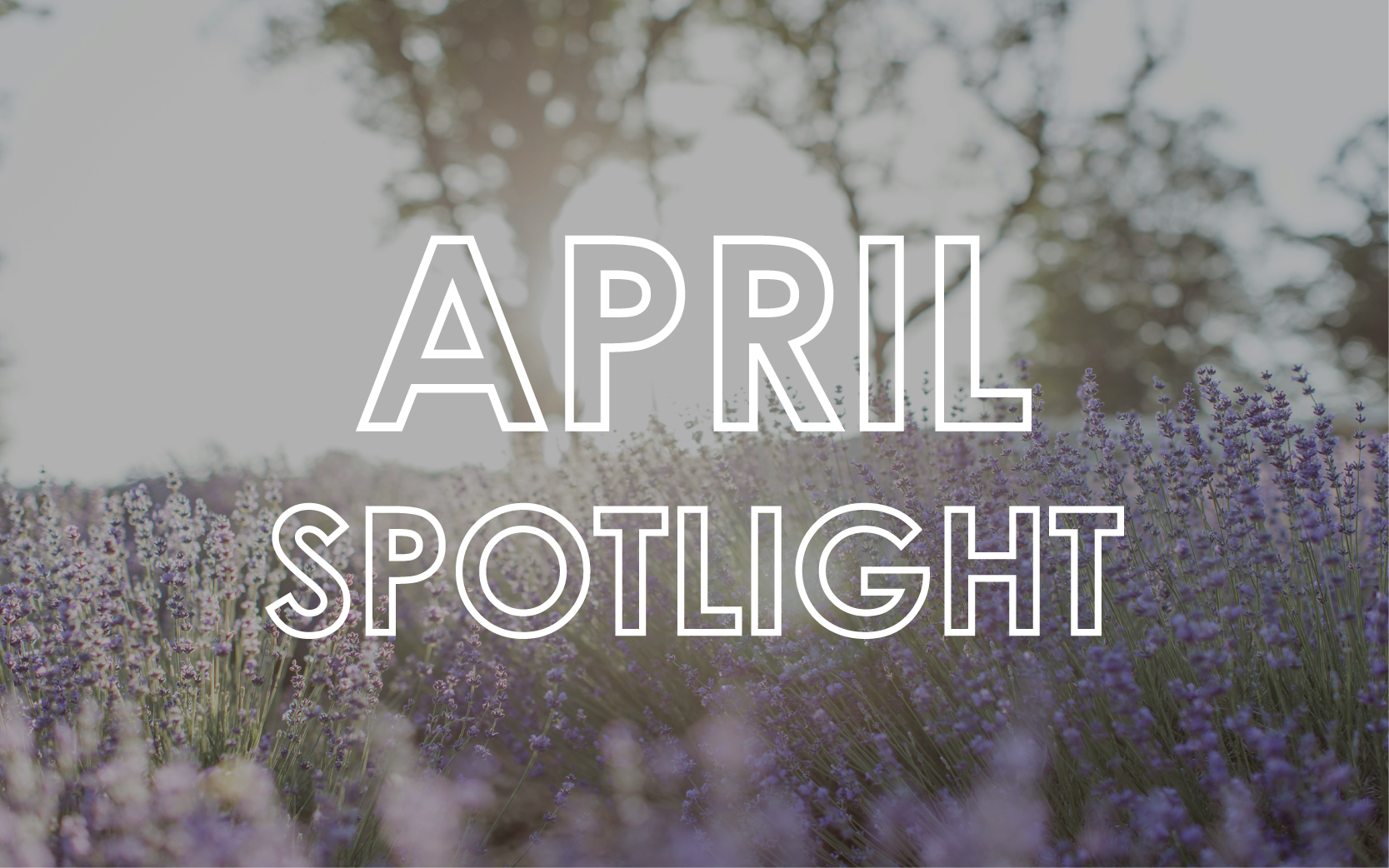 April 2025 - Monthly Product Showcase