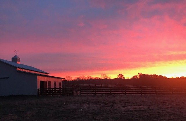 Farm Direct Farm in Georgia