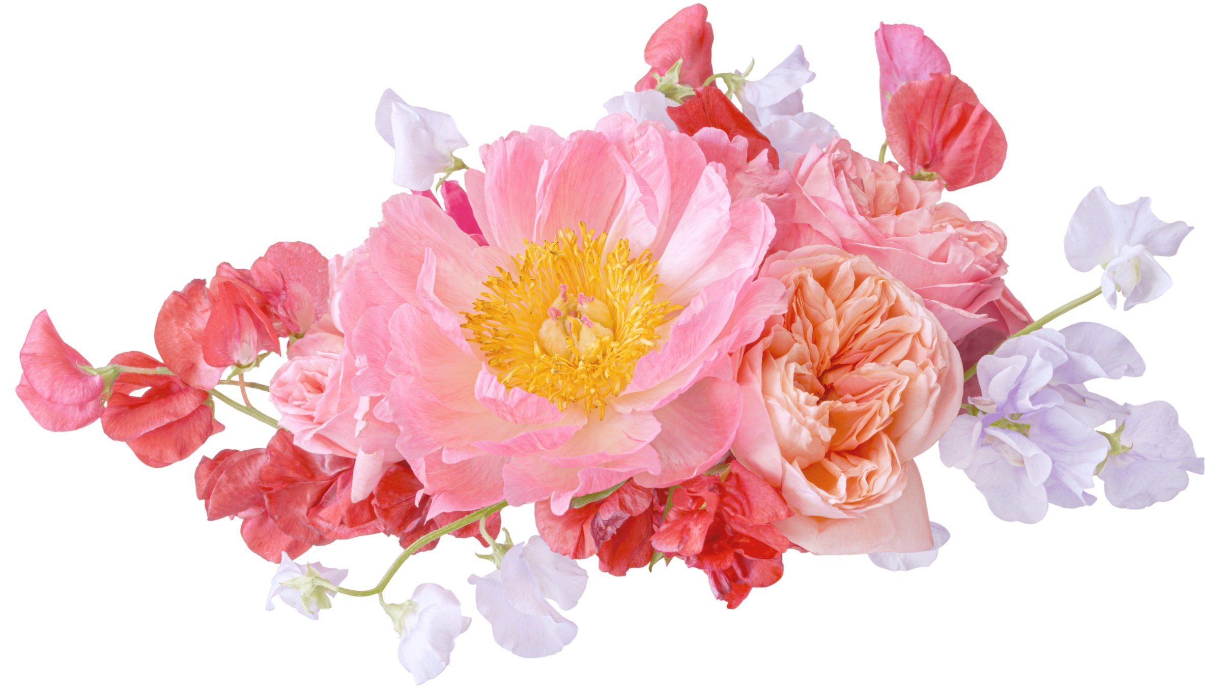 Flower Blossoms