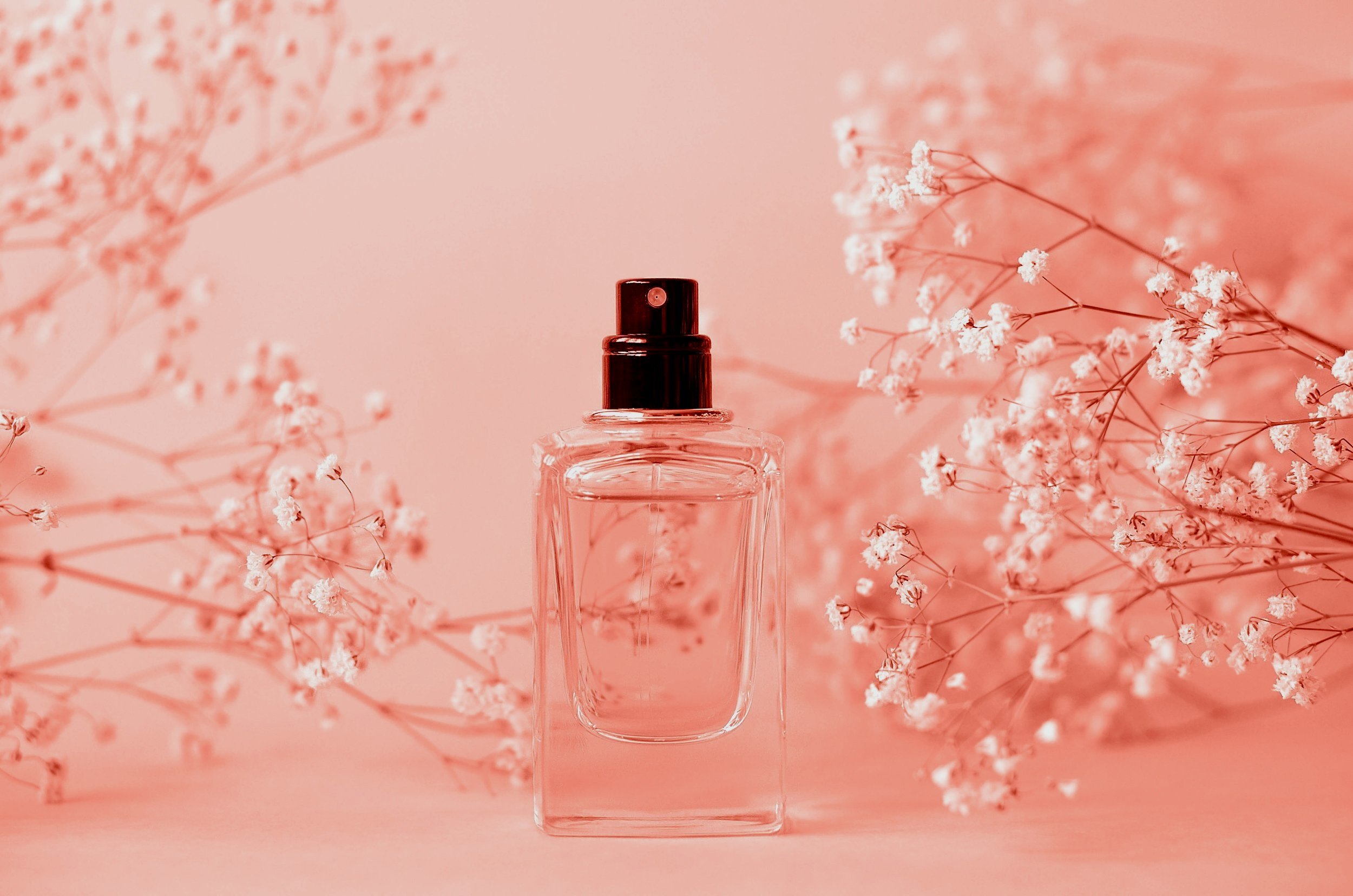 New & Featured Fragrances