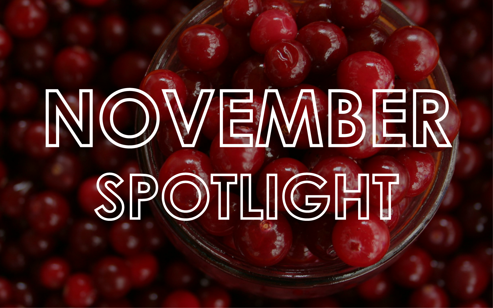 November 2024 - Monthly Product Showcase