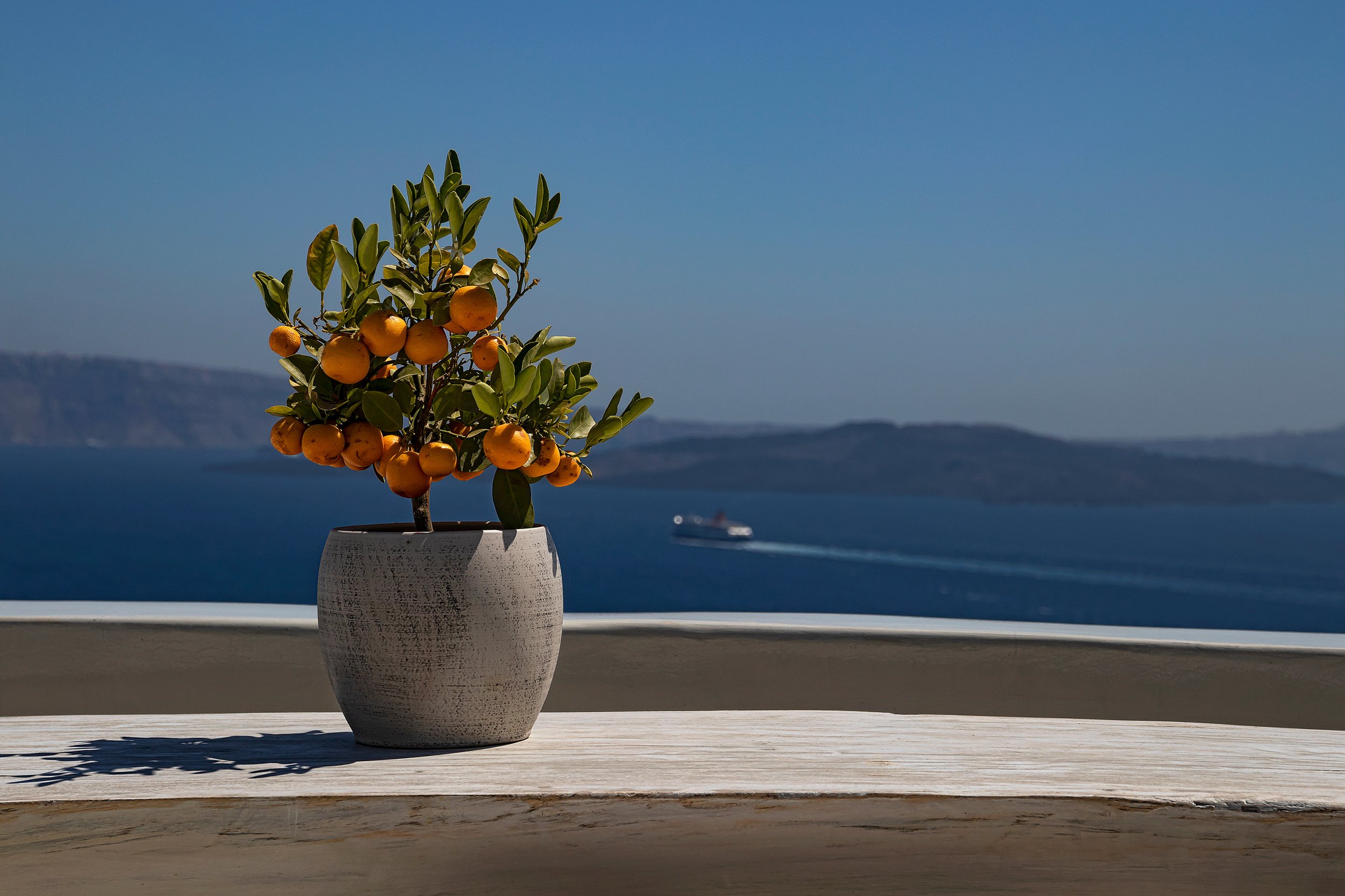 Orange Blossom Elixir Fragrance