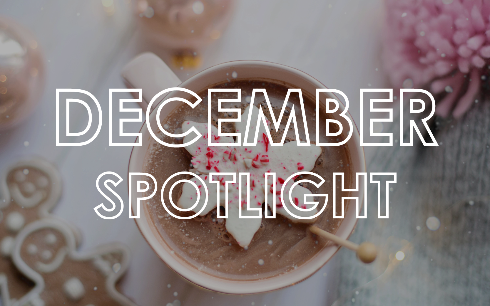 December 2024 - Monthly Product Showcase