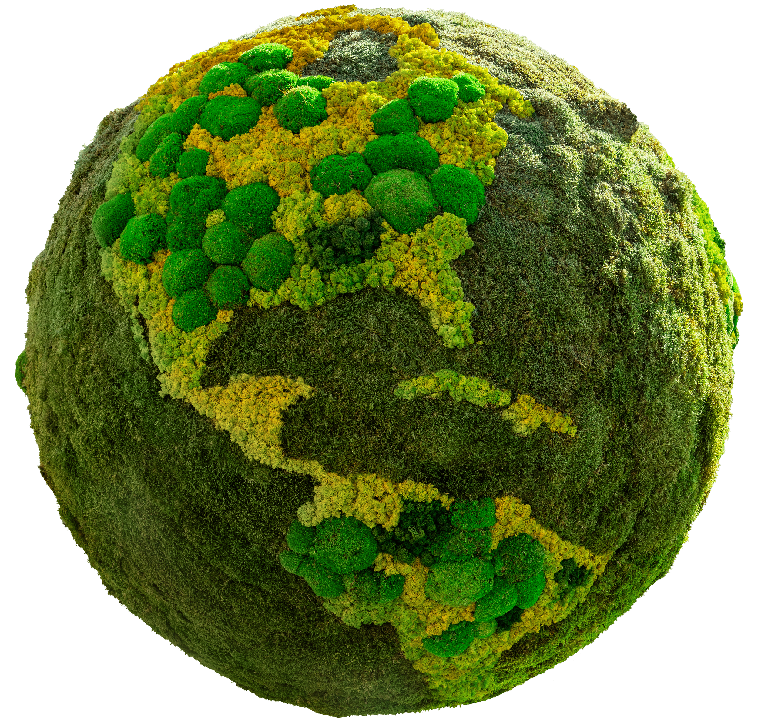 Integrated Supply Chain for Botanical Extracts